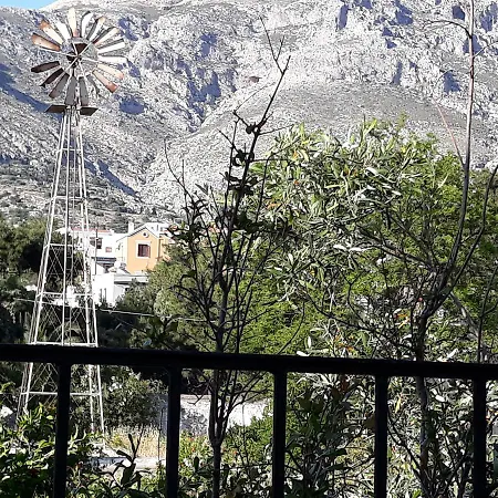 Mela Daire