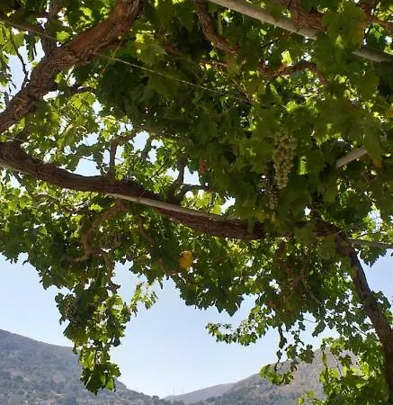 Mela Apartment Panormos (Kalymnos)