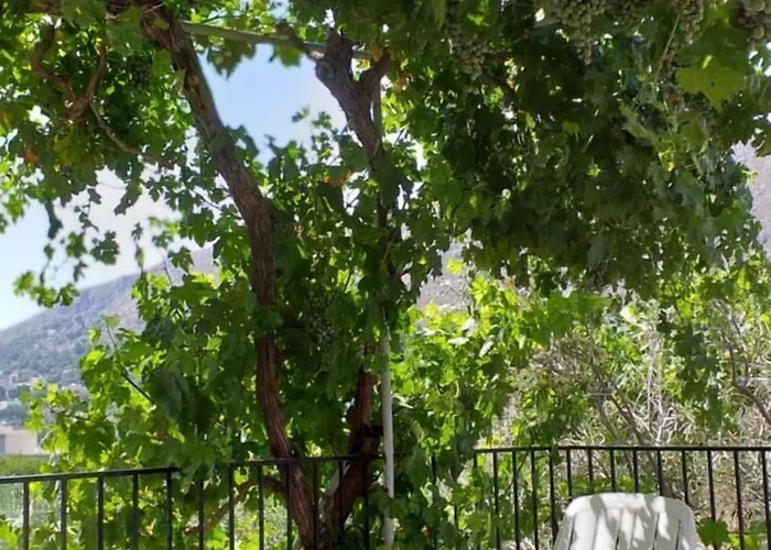 Mela * Panormos (Kalymnos)