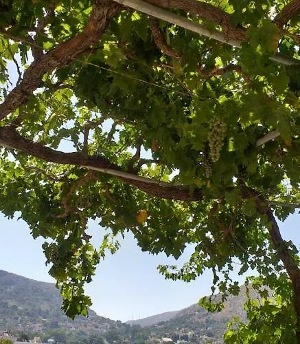 Mela شقة Panormos (Kalymnos)